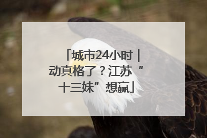 城市24小时｜动真格了？江苏“十三妹”想赢