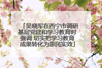 吴晓军在西宁市调研基层党建和学习教育时强调 切实把学习教育成果转化为惠民实效