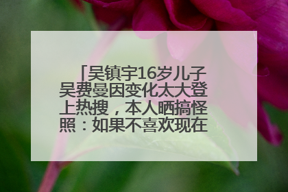 吴镇宇16岁儿子吴费曼因变化太大登上热搜，本人晒搞怪照：如果不喜欢现在的我可以离开