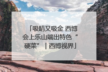 吸睛又吸金 西博会上乐山端出特色“硬菜”｜西博视界