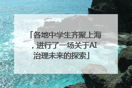 各地中学生齐聚上海，进行了一场关于AI治理未来的探索