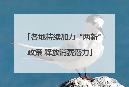 各地持续加力“两新”政策 释放消费潜力