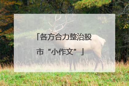 各方合力整治股市“小作文”