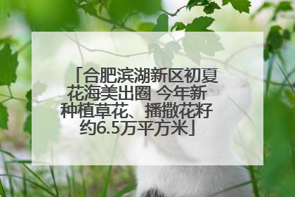 合肥滨湖新区初夏花海美出圈 今年新种植草花、播撒花籽约6.5万平方米