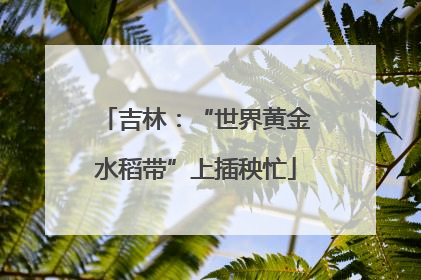吉林：“世界黄金水稻带”上插秧忙