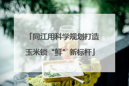 同江用科学规划打造玉米锁“鲜”新标杆