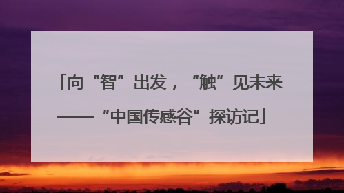 向“智”出发，“触”见未来——“中国传感谷”探访记