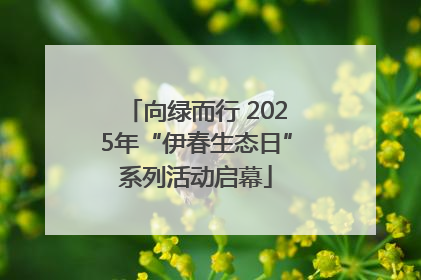 向绿而行 2025年“伊春生态日”系列活动启幕