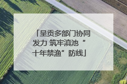 呈贡多部门协同发力 筑牢滇池“十年禁渔”防线