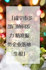 咸宁市多部门协同发力 精准服务企业落地生根