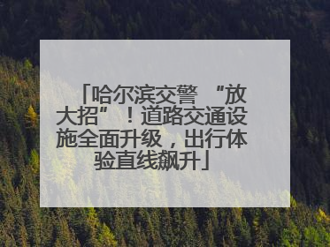 哈尔滨交警 “放大招”！道路交通设施全面升级，出行体验直线飙升