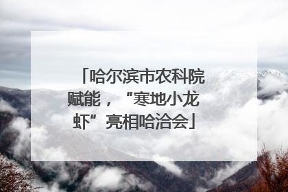 哈尔滨市农科院赋能，“寒地小龙虾”亮相哈洽会