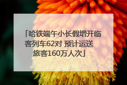 哈铁端午小长假增开临客列车62对 预计运送旅客160万人次