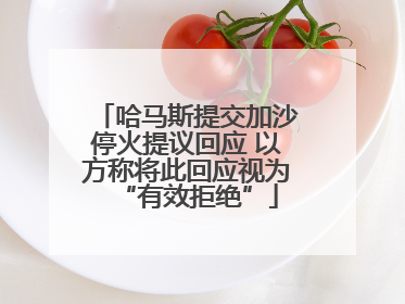 哈马斯提交加沙停火提议回应 以方称将此回应视为“有效拒绝”