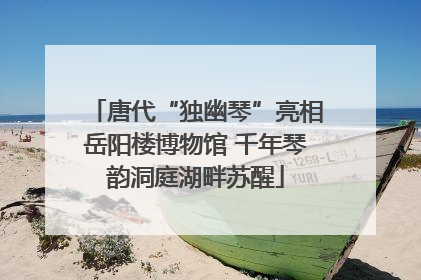 唐代“独幽琴”亮相岳阳楼博物馆 千年琴韵洞庭湖畔苏醒