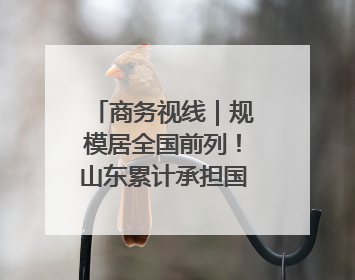 商务视线｜规模居全国前列！山东累计承担国家援外项目340多个