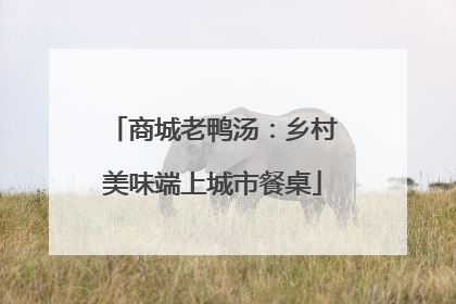 商城老鸭汤：乡村美味端上城市餐桌
