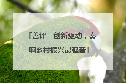 善评｜创新驱动，奏响乡村振兴最强音