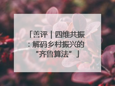 善评｜四维共振：解码乡村振兴的“齐鲁算法”