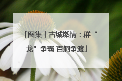 图集丨古城燃情：群“龙”争霸 百舸争渡