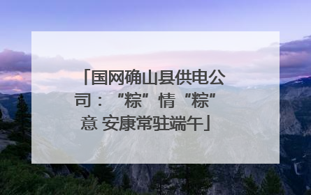 国网确山县供电公司：“粽”情“粽”意 安康常驻端午