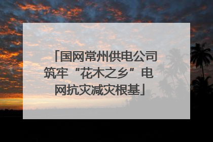国网常州供电公司筑牢“花木之乡”电网抗灾减灾根基