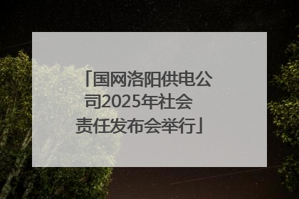 国网洛阳供电公司2025年社会责任发布会举行