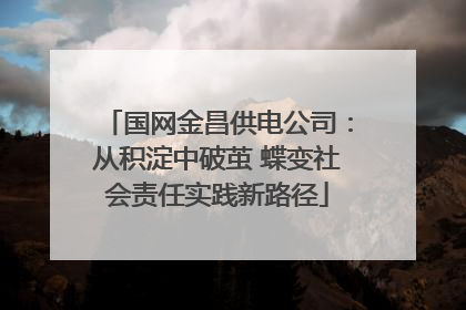 国网金昌供电公司：从积淀中破茧 蝶变社会责任实践新路径