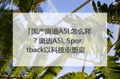 国产奥迪A5L怎么样？奥迪A5L Sportback以科技重塑豪华运动轿车市场格局