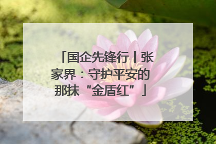 国企先锋行丨张家界：守护平安的那抹“金盾红”