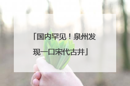 国内罕见！泉州发现一口宋代古井