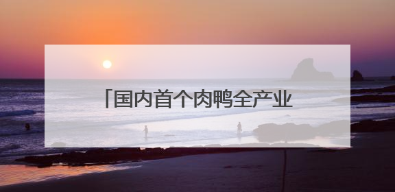 国内首个肉鸭全产业链碳足迹核算体系正式发布——泰安市肉鸭产业低碳发展标准示范项目顺利通过验收