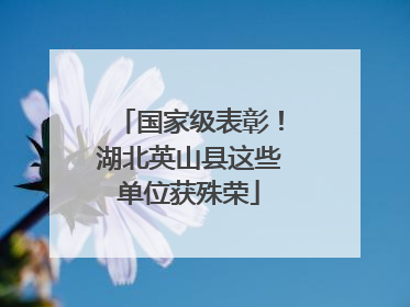 国家级表彰！湖北英山县这些单位获殊荣