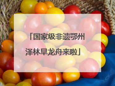 国家级非遗鄂州泽林旱龙舟来啦