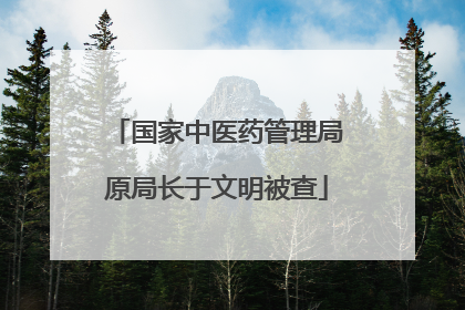 国家中医药管理局原局长于文明被查