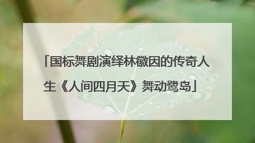 国标舞剧演绎林徽因的传奇人生《人间四月天》舞动鹭岛