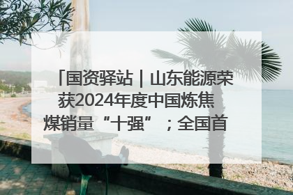 国资驿站｜山东能源荣获2024年度中国炼焦煤销量“十强”；全国首例铁路盖上智慧物流园钢结构主体完工