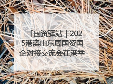 国资驿站｜2025港澳山东周国资国企对接交流会在港举行；山东黄金成功在境外发行3亿美元绿色债券