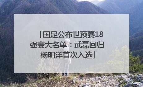 国足公布世预赛18强赛大名单：武磊回归 杨明洋首次入选