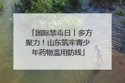 国际禁毒日丨多方聚力！山东筑牢青少年药物滥用防线