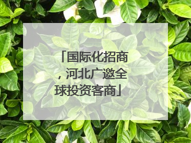 国际化招商，河北广邀全球投资客商