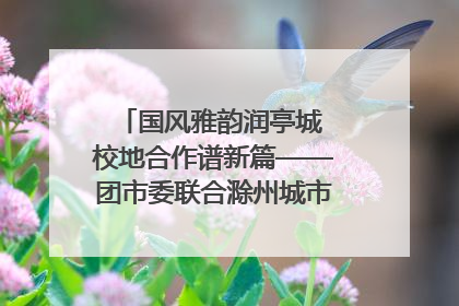 国风雅韵润亭城 校地合作谱新篇——团市委联合滁州城市职业学院助力传统文化“破圈”绽放