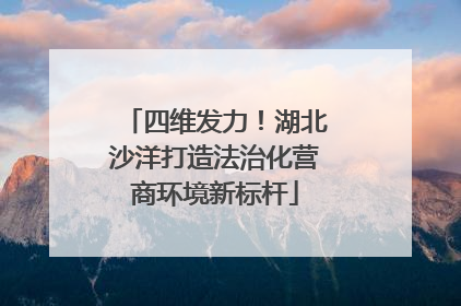 四维发力！湖北沙洋打造法治化营商环境新标杆