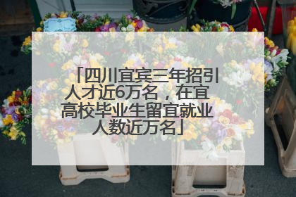 四川宜宾三年招引人才近6万名，在宜高校毕业生留宜就业人数近万名