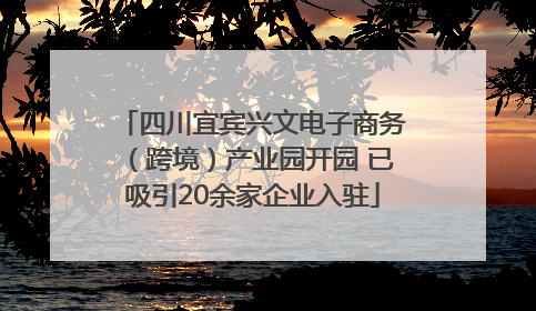 四川宜宾兴文电子商务（跨境）产业园开园 已吸引20余家企业入驻