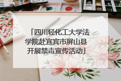 四川轻化工大学法学院赴宜宾市屏山县开展禁毒宣传活动