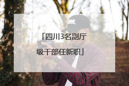四川3名副厅级干部任新职
