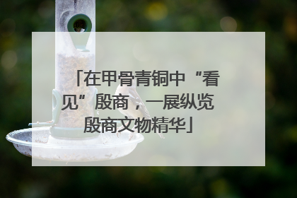 在甲骨青铜中“看见”殷商，一展纵览殷商文物精华