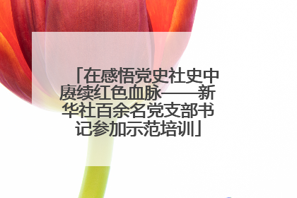 在感悟党史社史中赓续红色血脉——新华社百余名党支部书记参加示范培训