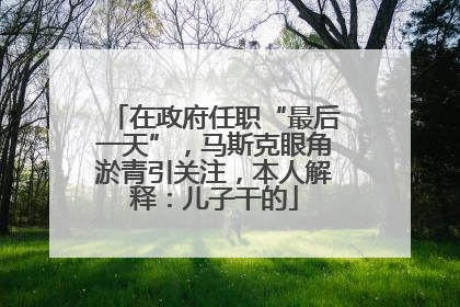 在政府任职“最后一天”，马斯克眼角淤青引关注，本人解释：儿子干的